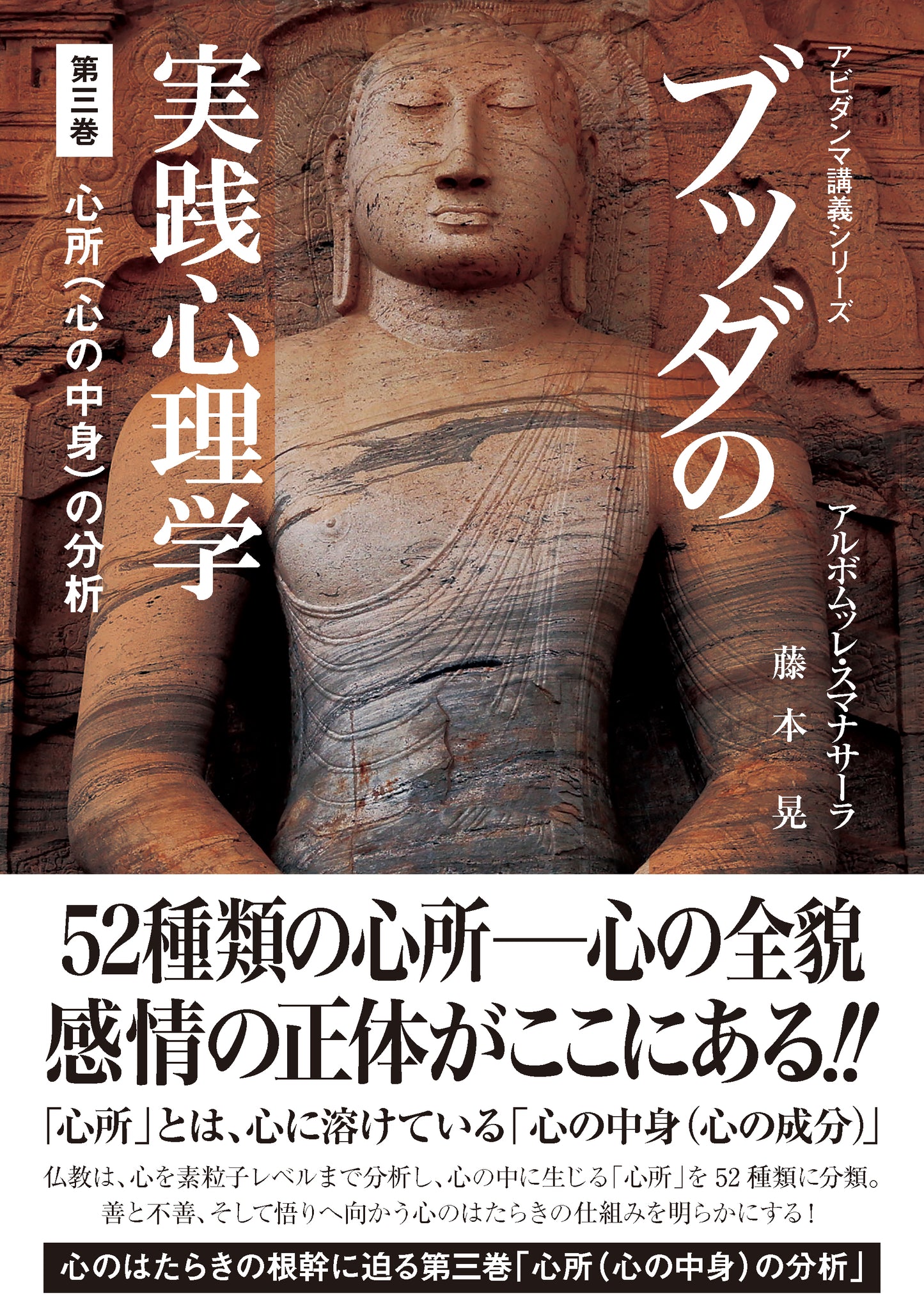 ブッダの実践心理学 第三巻 心所(心の中身)の分析